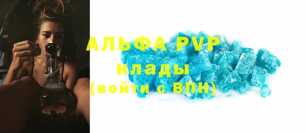 дживик Каменногорск