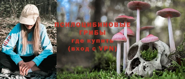 дживик Каменногорск