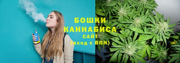 дживик Каменногорск