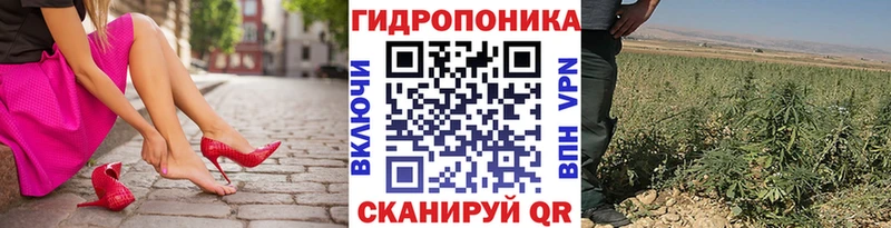 Купить закладки  Заволжск  Бошки марихуана Bruce Banner 